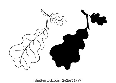 Linear sketch, doodle, silhouette of an autumn leaf. Vector graphics.