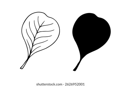 Linear sketch, doodle, silhouette of an autumn leaf. Vector graphics.