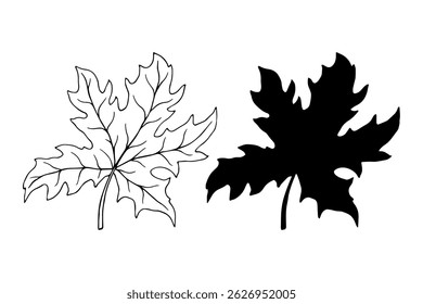 Linear sketch, doodle, silhouette of an autumn leaf. Vector graphics.