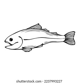 Linear sketch of a fish.Vector graphics.
