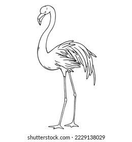 Linear sketch of a flamingo bird. Vector graphics.