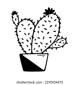 Esbozo lineal de un cactus florido. Ilustración simple de una planta doméstica. Gráfico vectorial estilizado.