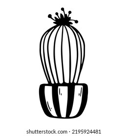 Linear sketch of a flowering cactus. Simple houseplant illustration. Stylized vector graphic.