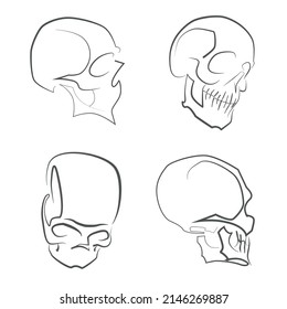 Linear sketch four skulls in different angles on white background
