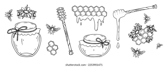 Linear sketch of jars of honey, bees, wild flowers, honeycombs. Honey clipart. Vector graphics.