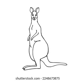 Linear sketch of a kangaroo.Vector graphics.