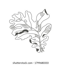 Linear sketch of a leaf. Flying autumn oak leaf