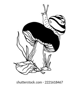 Linear sketch of mushrooms with autumn leaves and a creeping snail.Vector graphic.