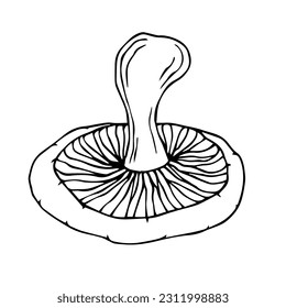 Linear sketch of mushrooms. Vector graphics.	