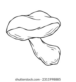 Linear sketch of mushrooms. Vector graphics.	