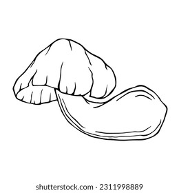 Linear sketch of mushrooms. Vector graphics.	
