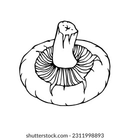 Linear sketch of mushrooms. Vector graphics.	