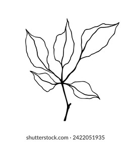 Linear sketch, outline of a branch with foliage. Vector graphics.