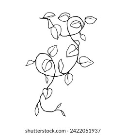 Linear sketch, outline of a branch with foliage. Vector graphics.