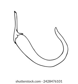 Linear sketch, outline, coloring of a hot chili pepper. Vector graphics.
