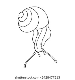 Dibujo lineal, contorno, coloración de un caracol. Gráficos vectoriales.