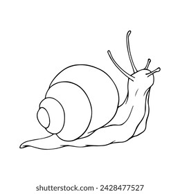 Linear sketch, outline, coloring of a snail. Vector graphics.