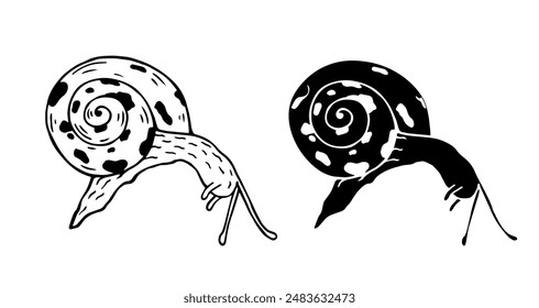 Linear sketch, outline, decorative silhouette, snail stamp. Vector graphics.