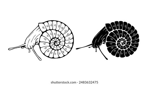 Linear sketch, outline, decorative silhouette, snail stamp. Vector graphics.