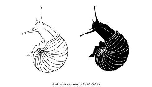 Linear sketch, outline, decorative silhouette, snail stamp. Vector graphics.