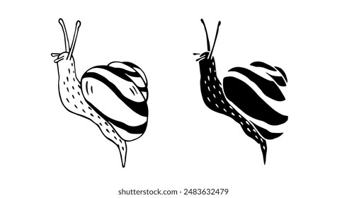 Linear sketch, outline, decorative silhouette, snail stamp. Vector graphics.