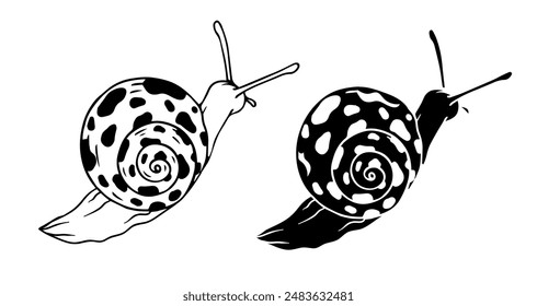 Linear sketch, outline, decorative silhouette, snail stamp. Vector graphics.