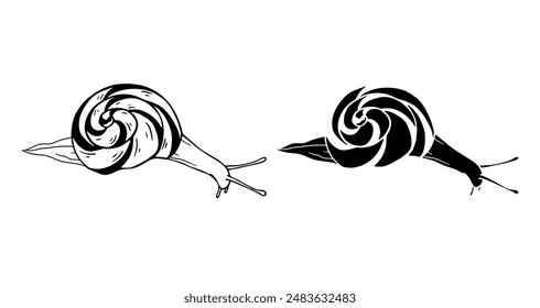 Linear sketch, outline, decorative silhouette, snail stamp. Vector graphics.