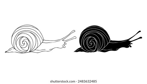 Linear sketch, outline, decorative silhouette, snail stamp. Vector graphics.