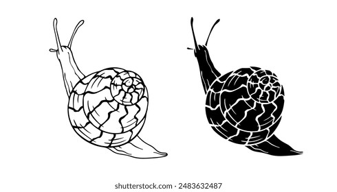 Linear sketch, outline, decorative silhouette, snail stamp. Vector graphics.