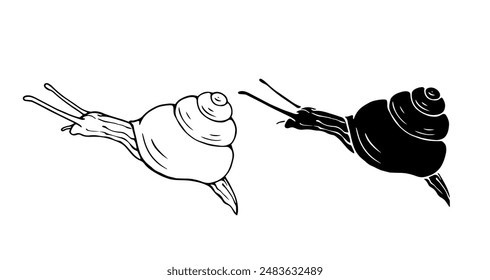 Linear sketch, outline, decorative silhouette, snail stamp. Vector graphics.