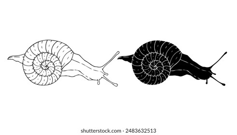 Linear sketch, outline, decorative silhouette, snail stamp. Vector graphics.