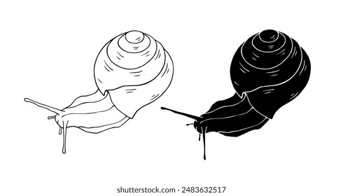 Linear sketch, outline, decorative silhouette, snail stamp. Vector graphics.