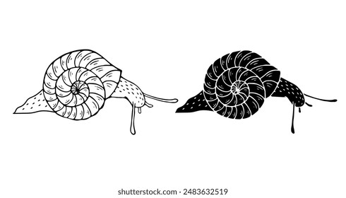 Linear sketch, outline, decorative silhouette, snail stamp. Vector graphics.