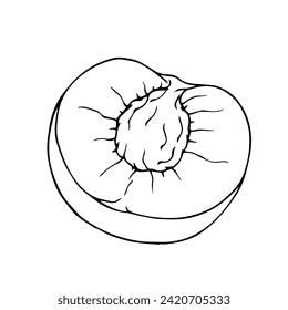 Linear sketch, outline of halves of fruit peach, nectarine.Vector graphics.