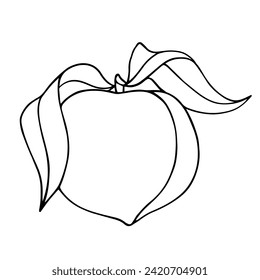 Linear sketch, outline of peach, nectarine fruit.Vector graphics.