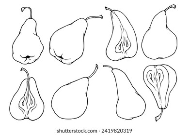 Linear sketch, outline of pear fruit and fruit pieces. Vector graphics.