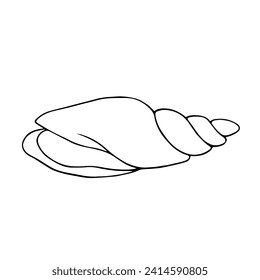 Linear sketch, outline of a sea shell. Decorative element for sea summer designs. Vector graphics.