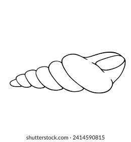 Linear sketch, outline of a sea shell. Decorative element for sea summer designs. Vector graphics.