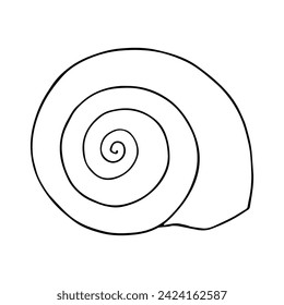 Linear sketch, outline of a sea shell. Vector graphics.