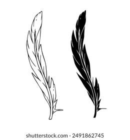 Linear sketch, outline, silhouette, bird feather stamp. Vector graphics.