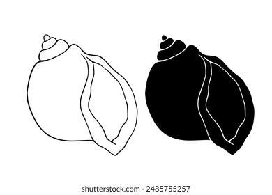 Linear sketch, outline, silhouette, seashell stamp. Vector graphics.