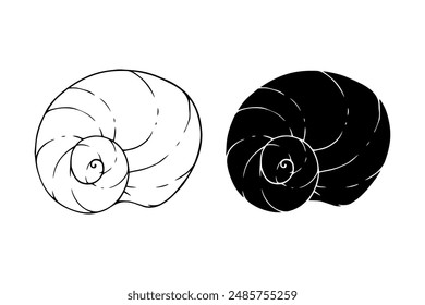 Linear sketch, outline, silhouette, seashell stamp. Vector graphics.