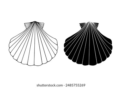 Lineare Skizze, Umriss, Silhouette, Muschelstempel. Vektorgrafik-Grafiken.