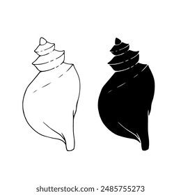 Linear sketch, outline, silhouette, seashell stamp. Vector graphics.