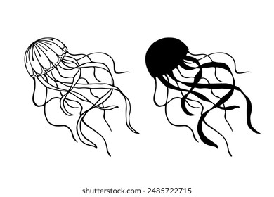 Linear sketch, outline, silhouette, stamp of sea inhabitants of jellyfish. Vector graphics.