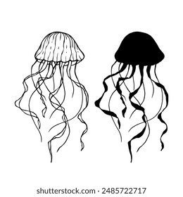 Linear sketch, outline, silhouette, stamp of sea inhabitants of jellyfish. Vector graphics.