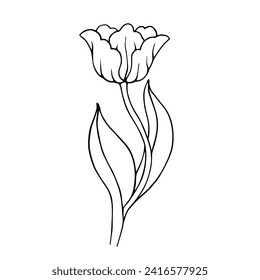 Lineare Skizze, Umriss einer Tulpenblume. Vektorgrafiken.