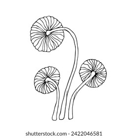Esbozo lineal, contorno de hongos toadstool.Gráficos vectores.