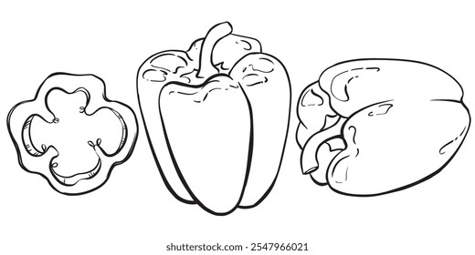 Boceto lineal de pimentón. Vector conjunto de pimientos. Dibujo de tinta negra de pimienta dulce sobre fondo blanco. Ingrediente picante de la cocina mexicana e india.