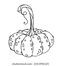 Linear sketch pumpkin 